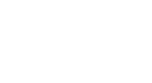 Tim Mullet Logo